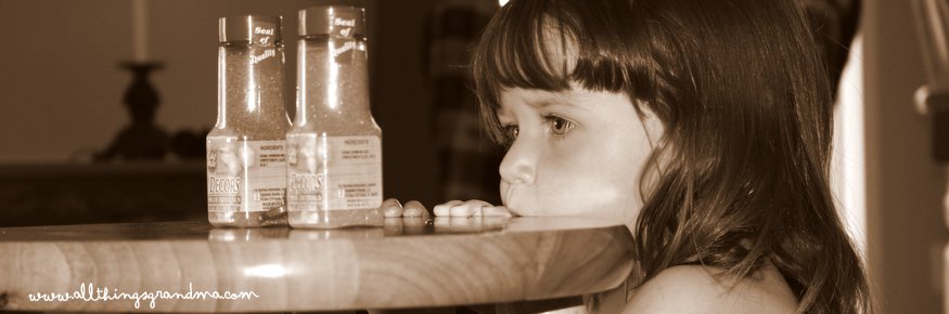 Through Grandma’s Eyes:  The Decision