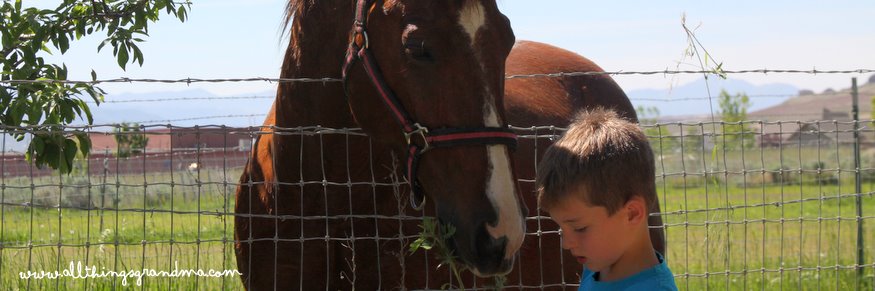 Through Grandma’s Eyes:  The Horse
