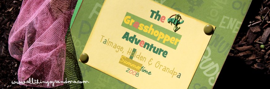 A Tiny Tale:  The Grasshopper Adventure