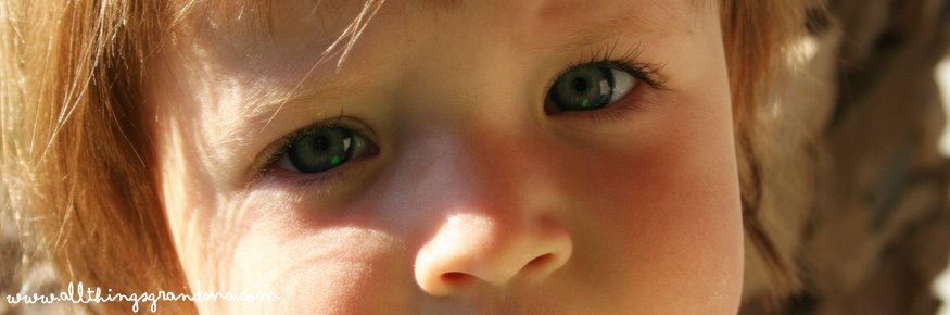 Through Grandma’s Eyes:  Innocence