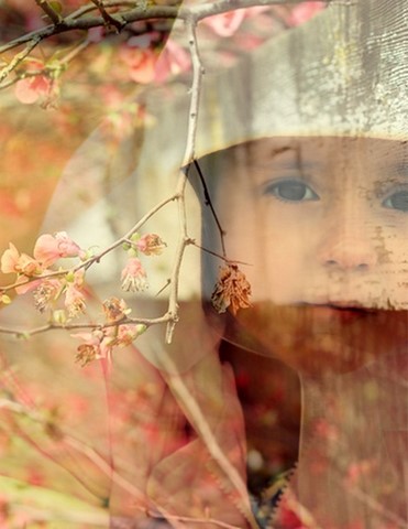Internet Images Backgrounds3