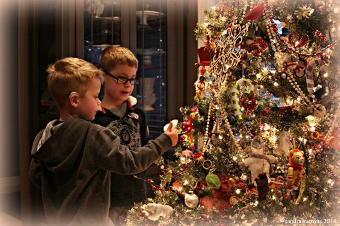 owen and andrew christmas tree 2014